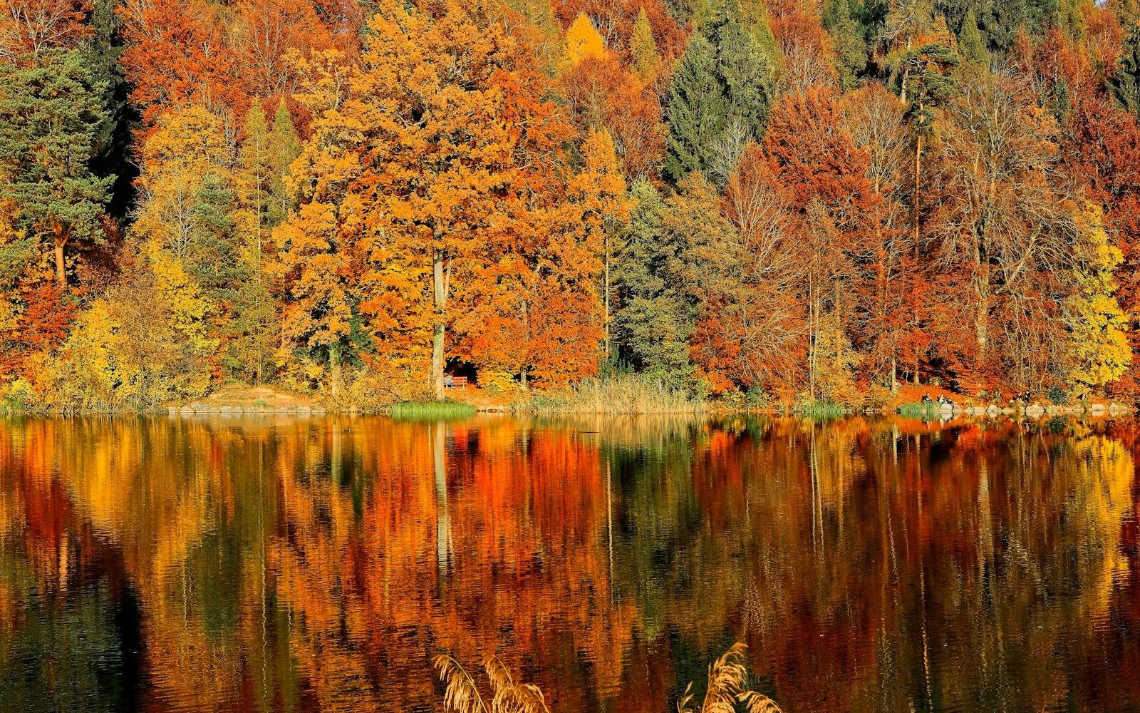 Autumn warming: when the kitchen turns up its heat