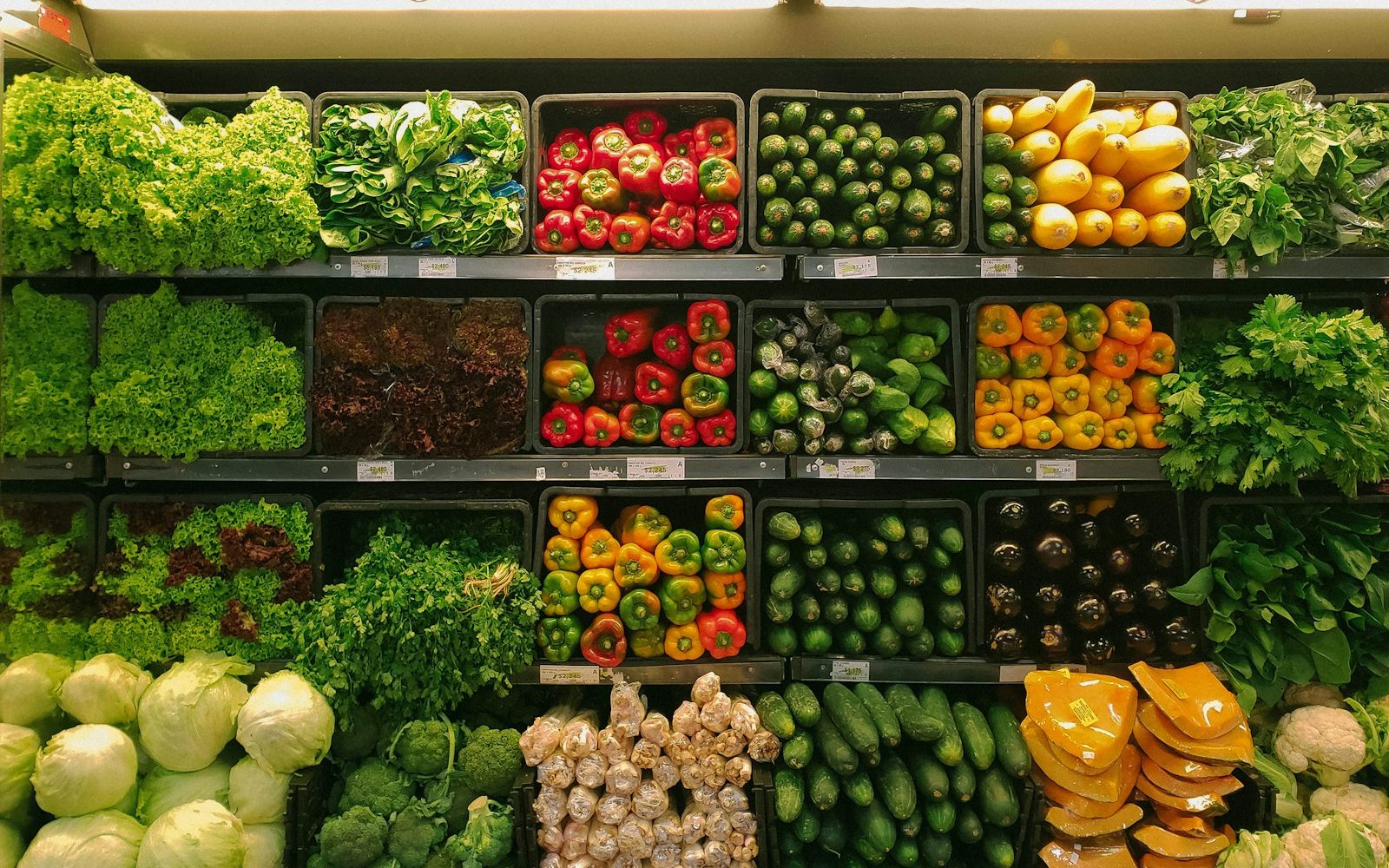 Fermented foods: a kitchen older than the fridge