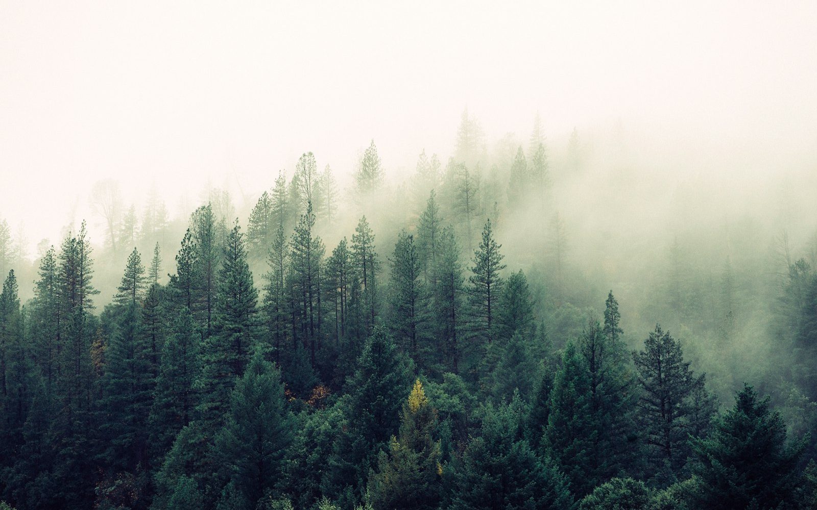 Sleep across the seasons: longer in winter, lighter in summer