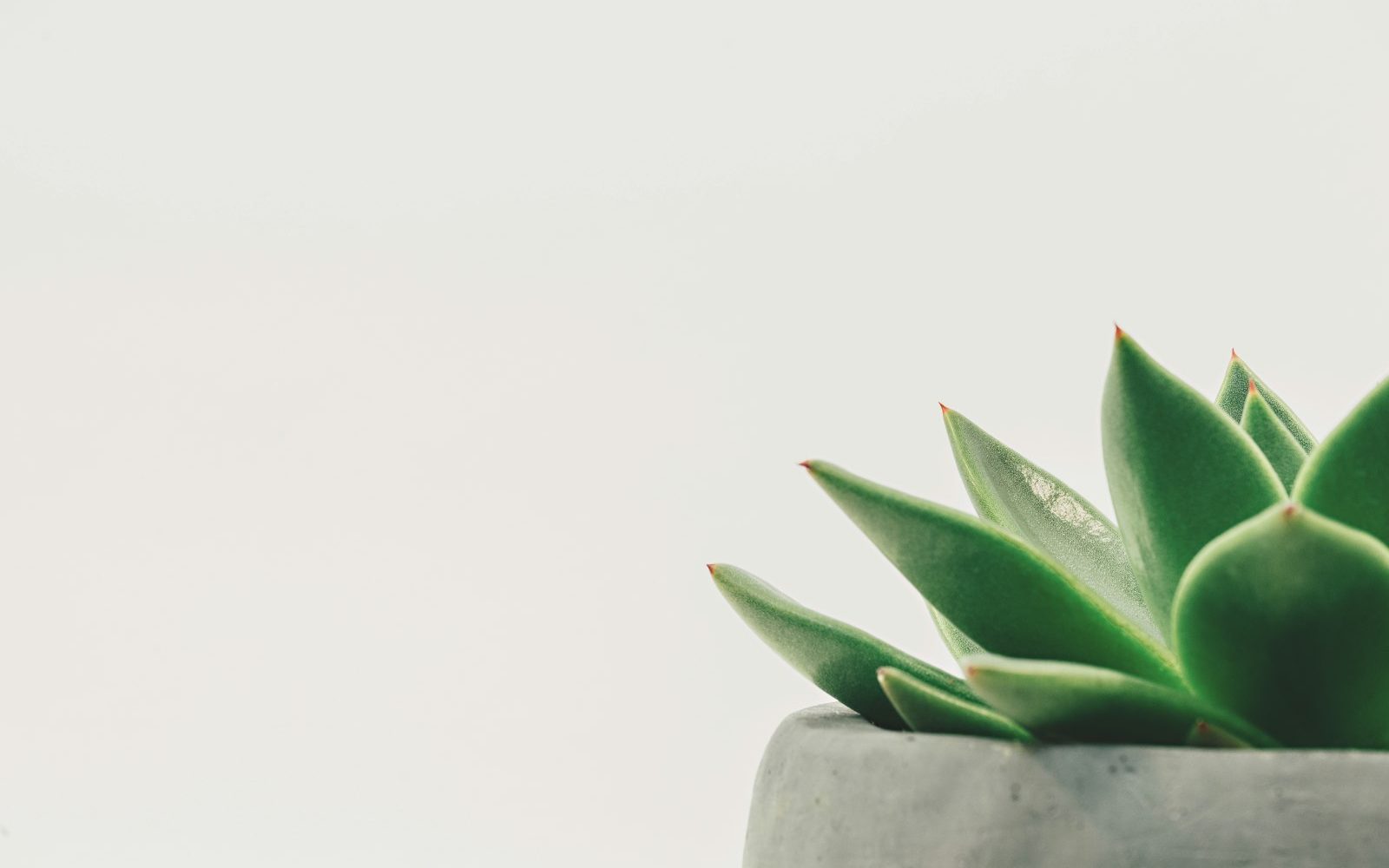 Yoga nidra: rest as a practice